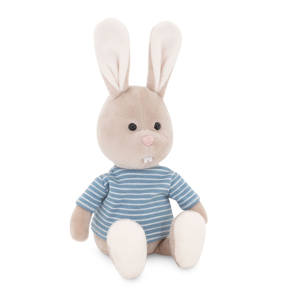 LUCAS THE RABBIT