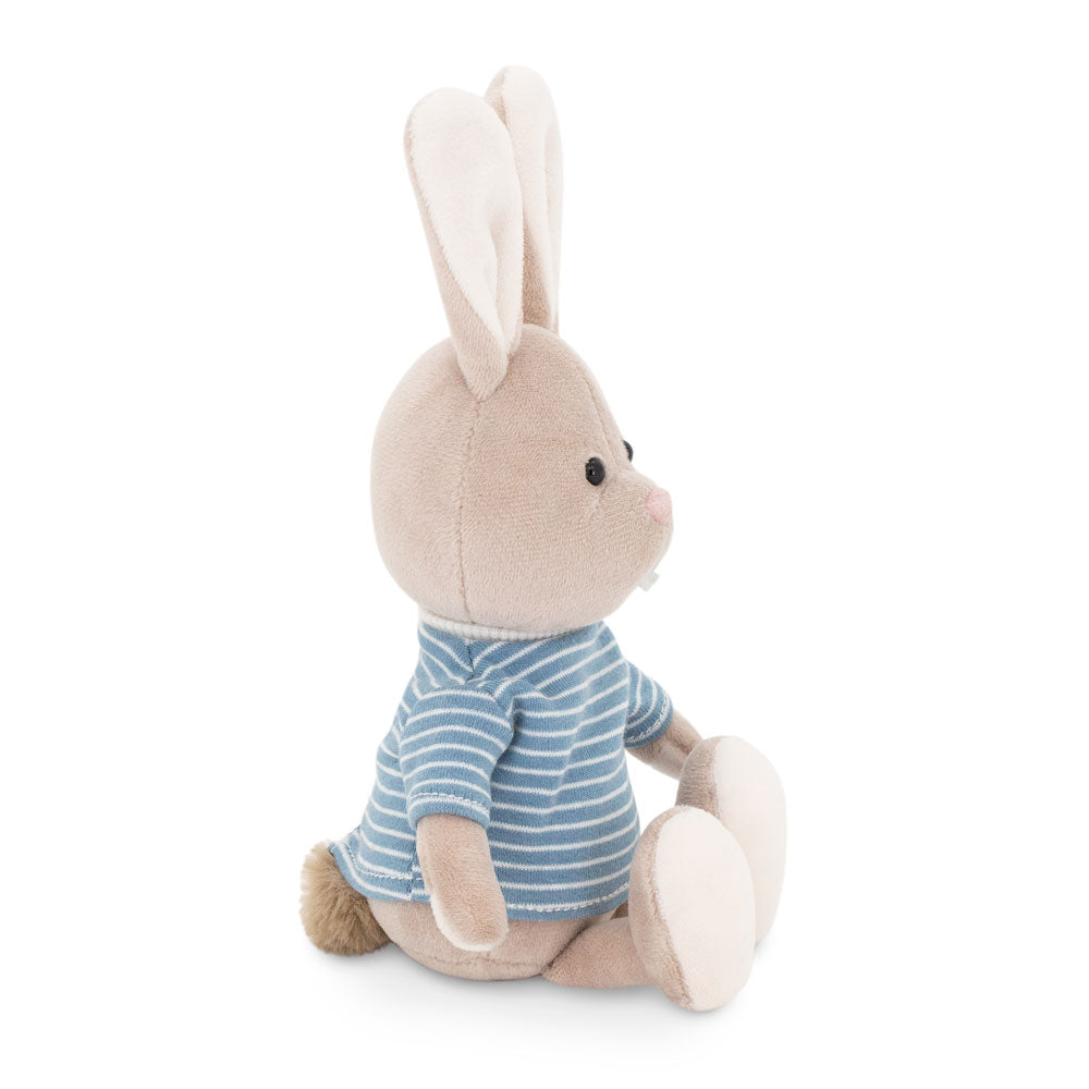 LUCAS THE RABBIT