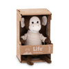 CHARLIE THE MONKEY