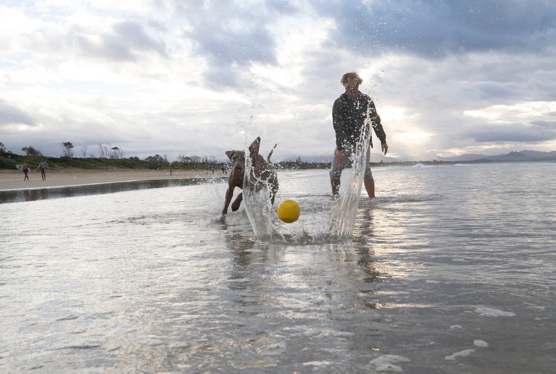 Dog playing with Waboba Fetch water ball